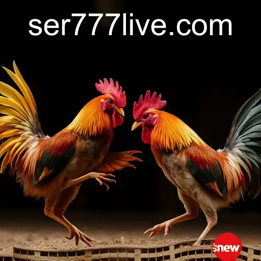 VIP Service ser777 PH Login - 24/7 Support and Exclusive Benefits